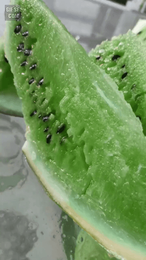 초록색 수박
