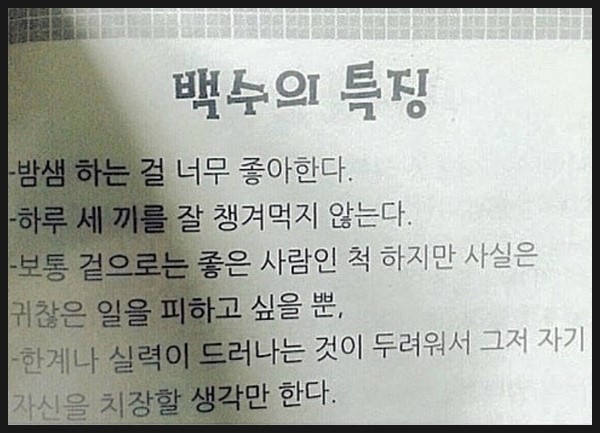 백수들의 특징