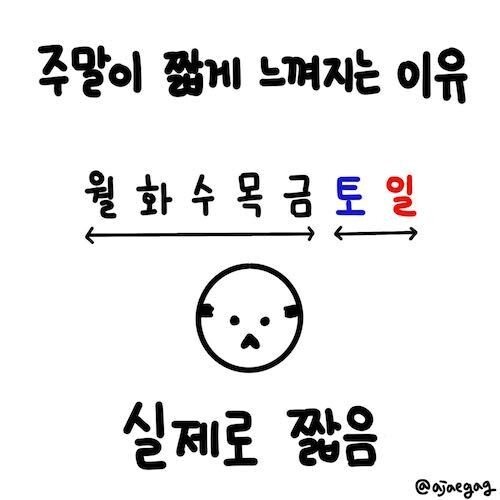 실제로 짧은 주말..