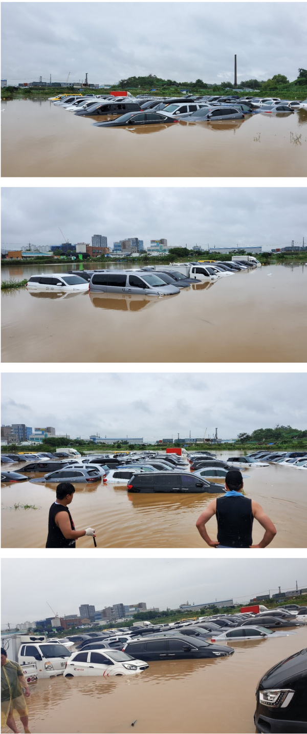 중고차 단지 근황 ㅎㄷㄷ