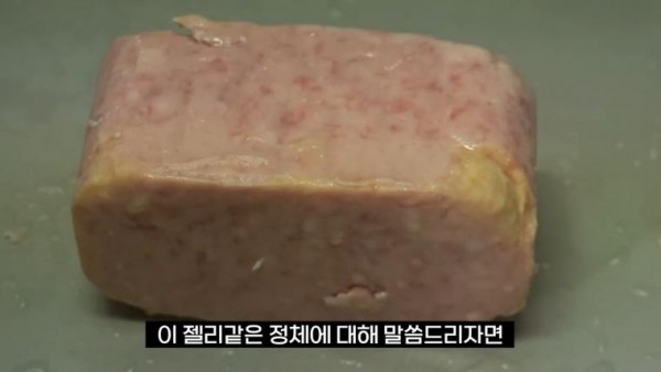 스팸에 붙어있는 젤리같은것