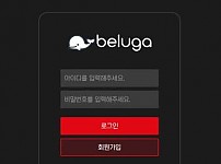 사설토토 [ 벨루가 BELUGA ] 사이트